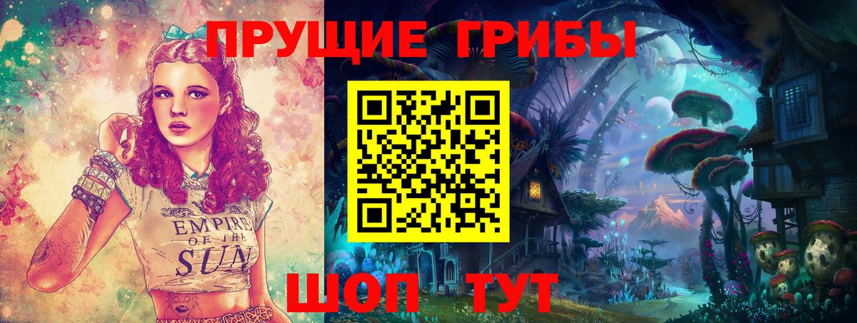 Галлюциногенные грибы Cubensis Александров