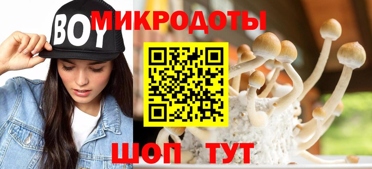 Александров  Псилоцибиновые грибы MAGIC MUSHROOMS  дарнет шоп  Вход с VPN 