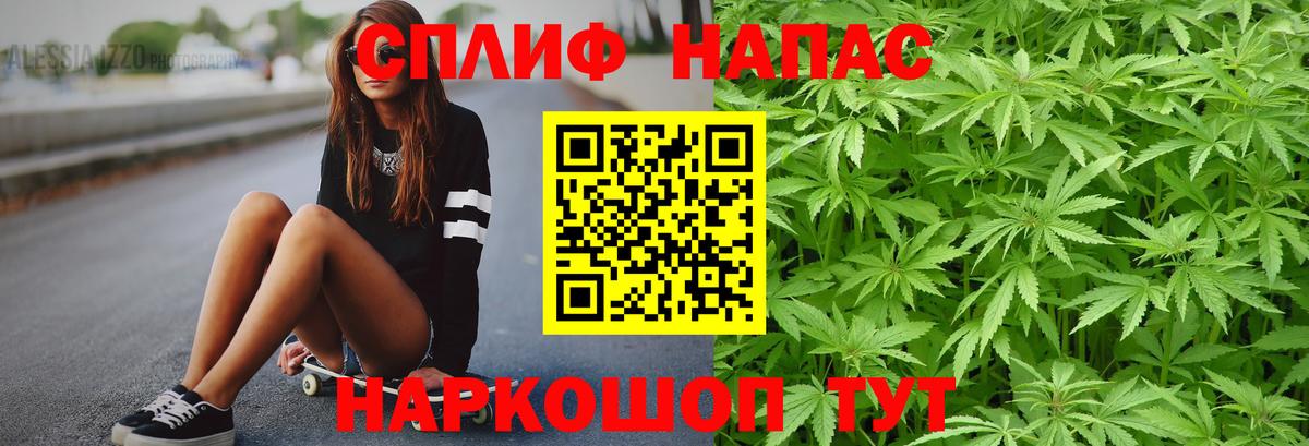МАРИХУАНА сатива  Вход с VPN  Канабис планчик  Александров  Каннабис LSD WEED 
